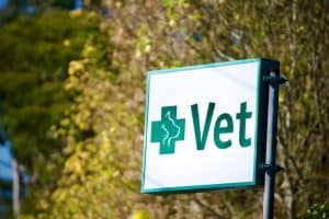 Veterinary clinic sign at Diamond Creek Shopping with GreenCross Vet logo.