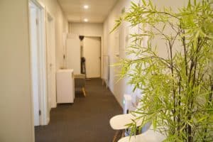 Modern shopping mall interior with relaxing seating and greenery, Diamond Creek Shopping.