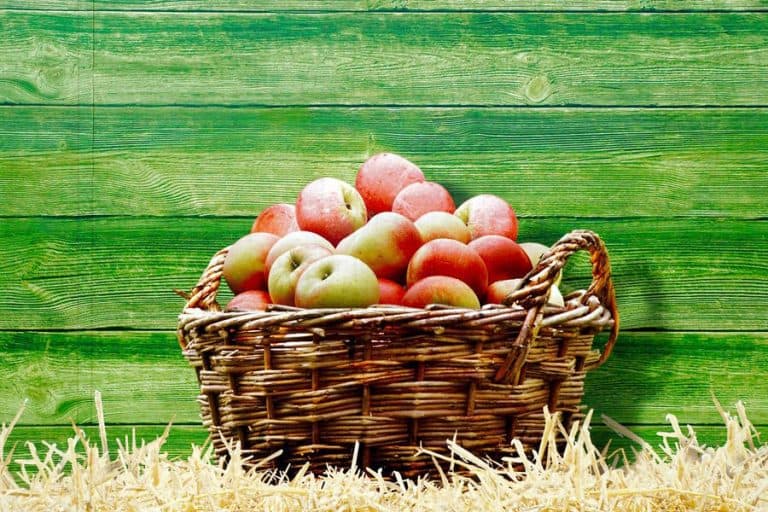 basket of apples for the diamond creek rotary food pantry 2 768x512