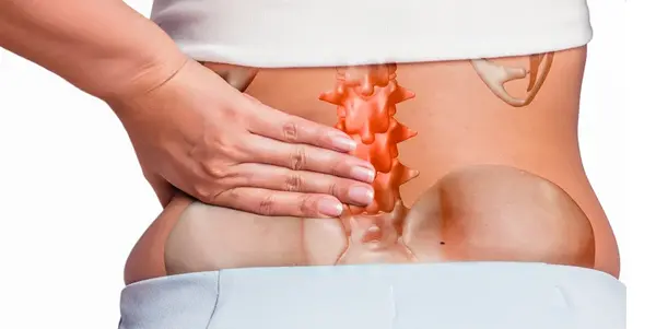 Diamond Creek Chiropractic Diamond Creek Chiropractic