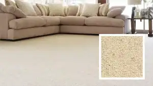 Soft beige overflow carpet in a cozy living room setting.