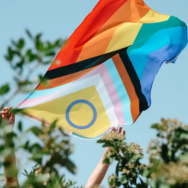 idahobit 1 768x770