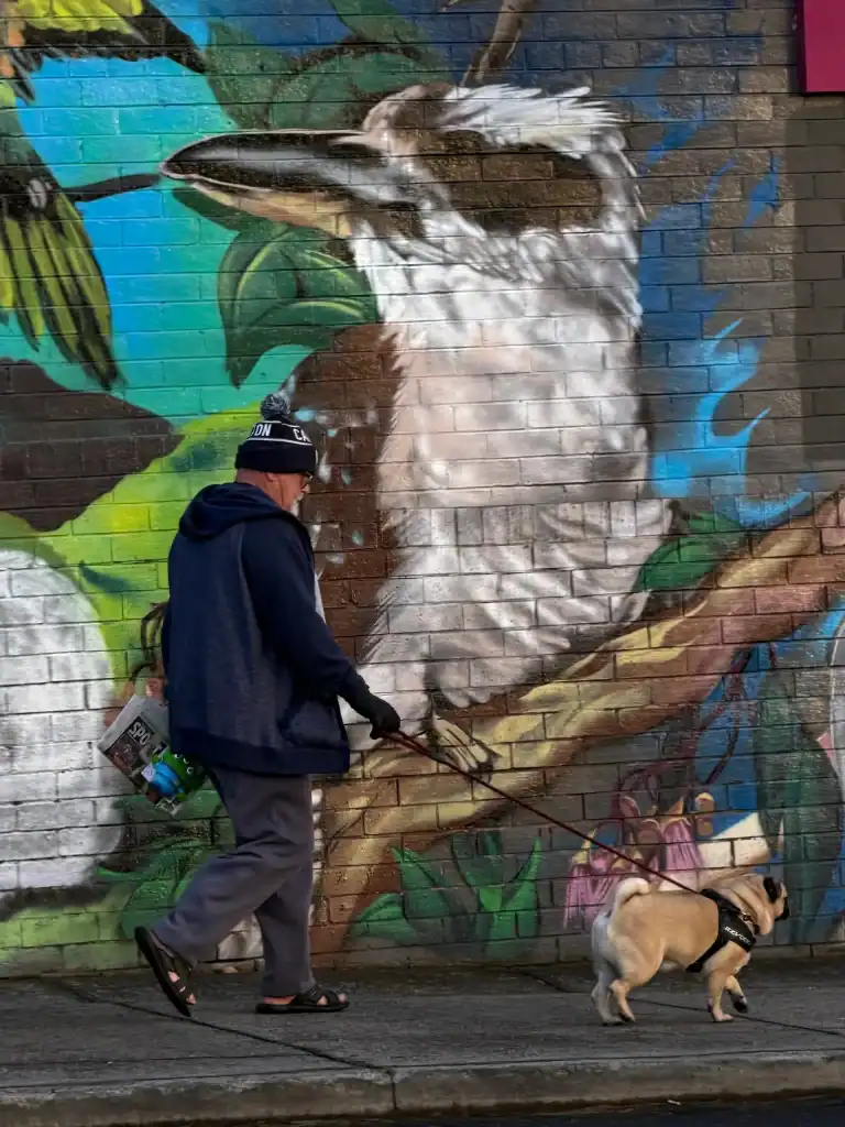 Colourful mural of a koala on a brick wall in Diamond Creek shopping area.