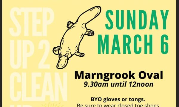 Recycling event at Diamond Creek Shopping for community clean-up day.