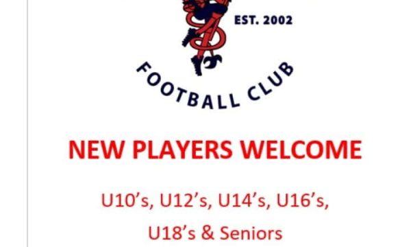 Diamond Creek Women's Football Club logo with mascot and contact info.