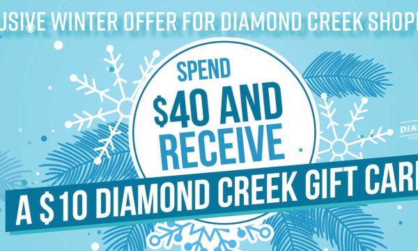Bright winter promotion at Diamond Creek Shopping with gift card offer.
