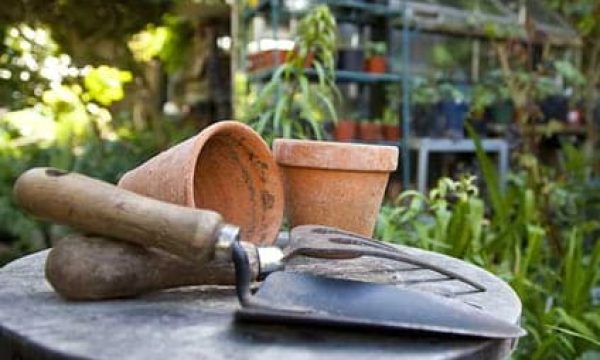 Beautiful garden tools and potted plants at Diamond Creek Shopping, Melbourne.